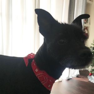 Meet your Posher, Rick